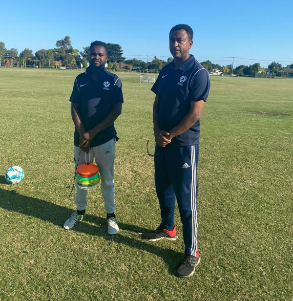 coaches